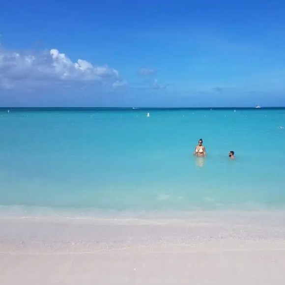 Profile Picture of Sam Lasasso (@nunnjerome02) on Poshmark