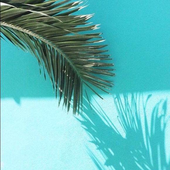 Profile Picture of Martyna Jurusik (@noog345t) on Poshmark