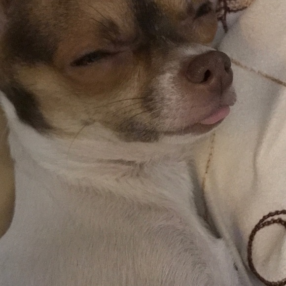 Shonda Eagan - Poshmark Profile Picture of Shonda Eagan (@shondaeagan) on Poshmark