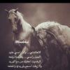 Profile Picture of Fouad Ayoub (@@fouadayoub76) on Tiktok