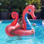 Profile Picture of Lisa (@lisavansteenbergen) on Instagram