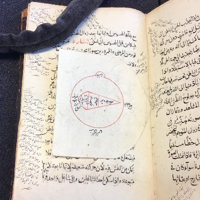 Profile Picture of Shahrzad Irannejad (@IrannejadSH) on Twitter