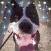 Profile Picture of Brian Denson (@brian.denson.564) on Facebook