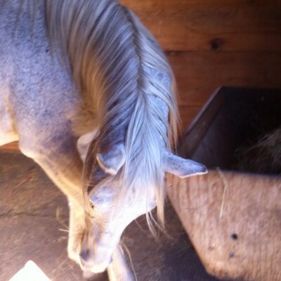 Profile Picture of Carrie-anne (@@CandCisco) on Twitter