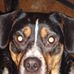 Profile Picture of Roscoe Barnes (@roscoe.barnes.5) on Facebook