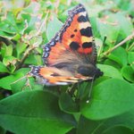 Profile Picture of Jayson (@jaysonvzgoodman) on Instagram