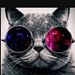 Profile Picture of Jessica pryer (@jellybean0978) on Pinterest