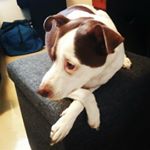 Profile Picture of Christopher (@sirchawelz) on Instagram