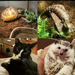 Profile Picture of Daniel & Ashley 💑 (@cuddly_scales) on Instagram