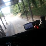 Thomas_lmt_🤙 - Instagram Profile Picture of Thomas_lmt_🤙 (@thomas_on_the_road_) on Instagram