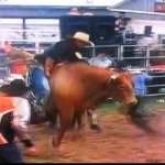 Profile Picture of Craig Heffernan (@theheff0) on Instagram