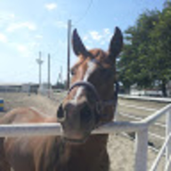 Profile Picture of Karen Hamlow (@karenhamlow) on Poshmark