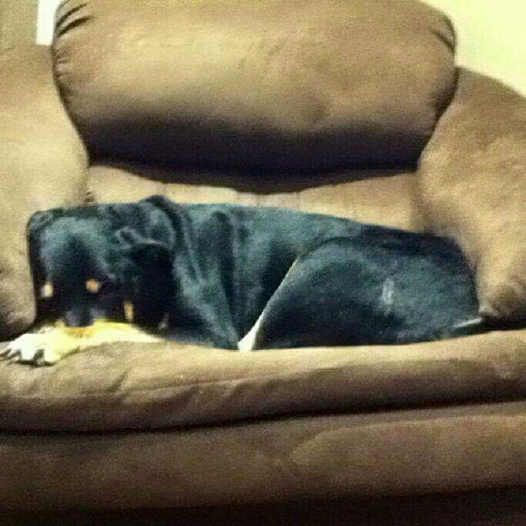 Profile Picture of Carmen Crumbley (@bellababy81) on Poshmark