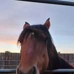 Profile Picture of Audrey Marone (@Audrey-Marone) on Facebook