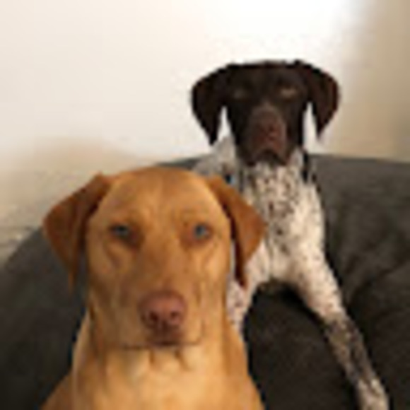 Profile Picture of Mitchell Olson (@olson_m) on Poshmark