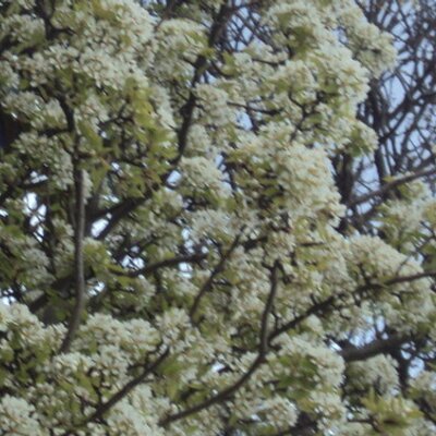 Profile Picture of Claire Tomkins (@ClaireTomzy) on Twitter