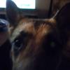 Profile Picture of sandynutter331 (@sandynutter331) on Tiktok