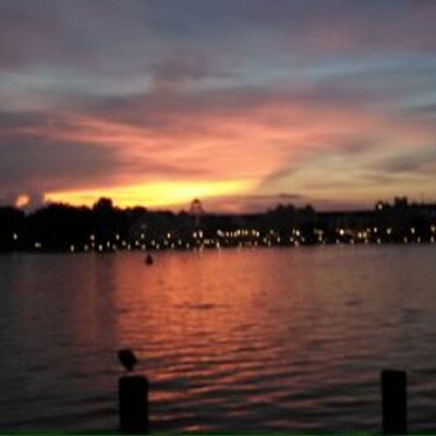 Profile Picture of Jackie Patrick (@jackiejpatrick) on Twitter