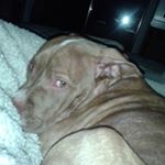 Profile Picture of Tracie Osier (@tracieosier) on Instagram