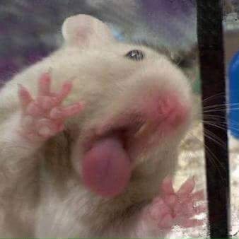 Profile Picture of Michael Rautenberg (@MichaelRautenb9) on Twitter