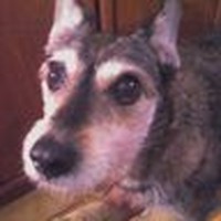 Profile Picture of Fernando Ferrer (@fernando-ferrer-38) on Quora