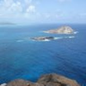 Profile Picture of D. Gen Fujitani (@TheManoaRain) on Youtube