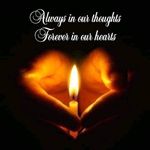 Profile Picture of Jason Amion (@jasonamion) on Instagram