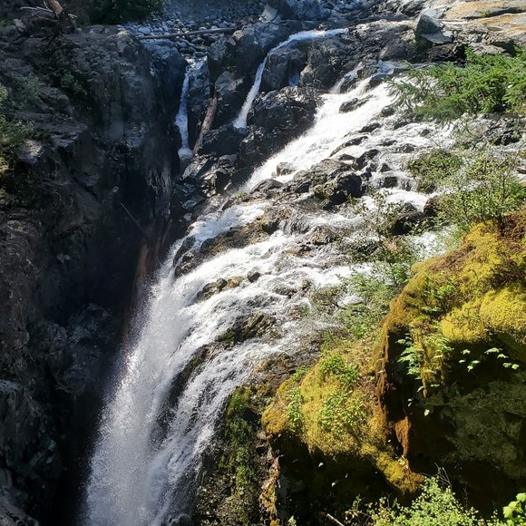 Profile Picture of Jillian Drover (@jdrover007) on Poshmark