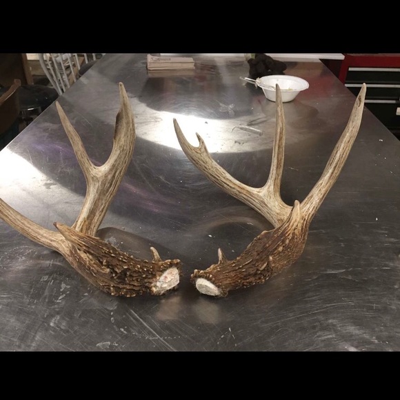 Profile Picture of Blake Harter (@blake_427) on Poshmark