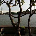 Profile Picture of Tommy Chow (@tommy.chow.969) on Instagram