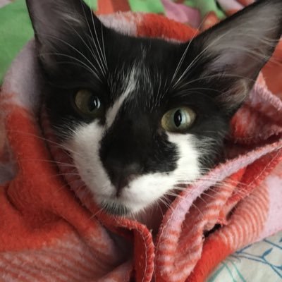 Profile Picture of Jason Smithers (@jasonsmithers19) on Twitter