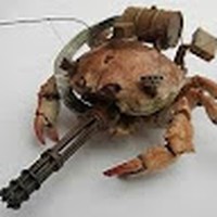 Profile Picture of Jonathan Guajardo (@jonathan-guajardo-9) on Quora