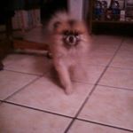 Profile Picture of Ruby Sheppard (@ruby.mccray.3) on Instagram