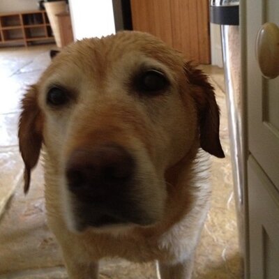 Profile Picture of Anthony Berkeley (@berkeleyab) on Twitter