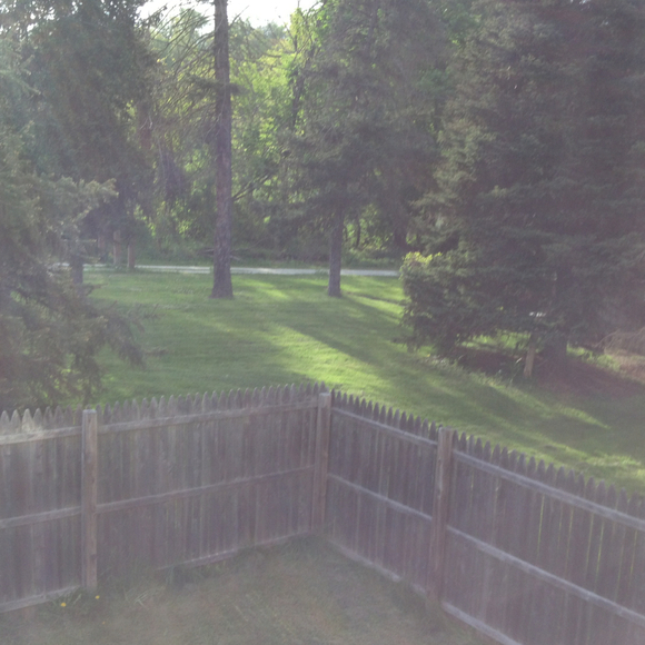 Profile Picture of Maureen Mowry (@maureenmowry) on Poshmark