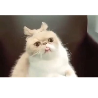 Profile Picture of Danny Zelaya (@dannyzelaya19) on Twitter