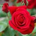 Profile Picture of Sudhir Chaudhary (@sudhir.chaudhary.75685962) on Facebook