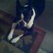 Profile Picture of Roberta Vitolo-Szymanski (@memom) on Pinterest