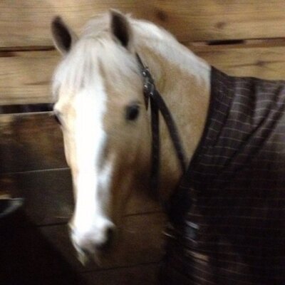 Profile Picture of Lynn And Ted Kramer (@lkramer418) on Twitter