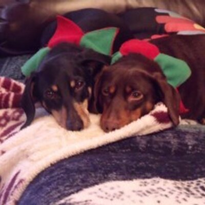 Profile Picture of Kris McKay (@two2doxies) on Twitter