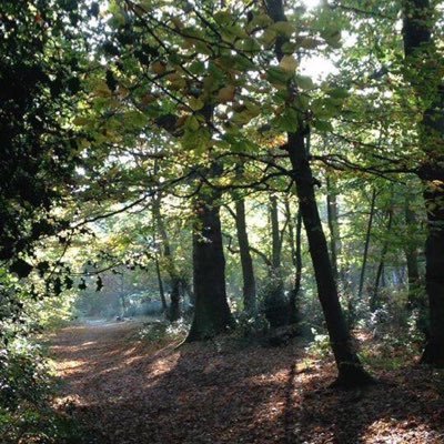 Profile Picture of Hayes Life (@HayesLifeKent) on Twitter