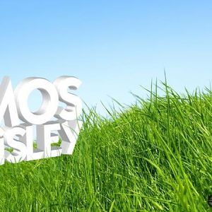 Profile Picture of Mos Eisley (@moseisleysweden) on Myspace