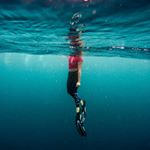 Profile Picture of Scuba Diving Worlds (@scuba_diving_dailytv) on Instagram