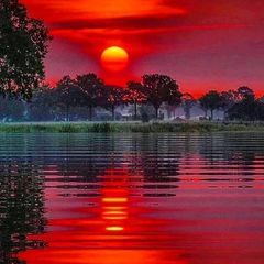 Profile Picture of Michael Schrock (@michael.schrock5) on Tiktok