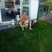 Profile Picture of Steinar Larsen (@steinar.larsen.524) on Facebook