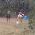 Profile Picture of   Megan (@meganjsingles)... (@meganjsingles) on Tiktok