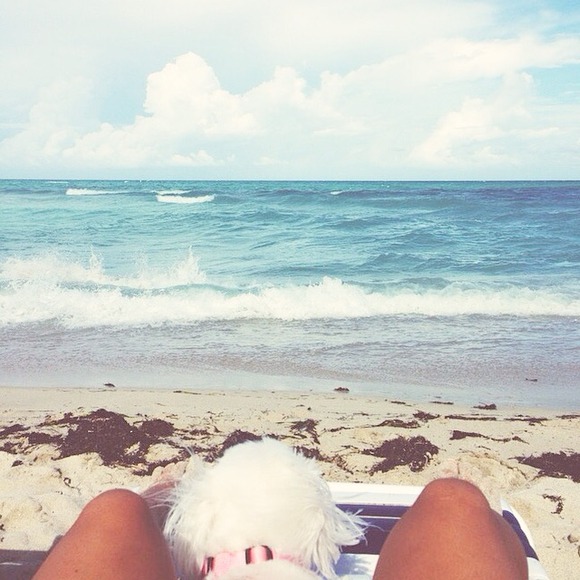 Profile Picture of Claudia Debiase (@cdebiase) on Poshmark