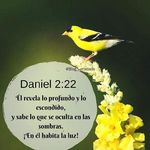 Kelly Almaguer - Instagram Profile Picture of Kelly Almaguer (@kellyalmagueraca) on Instagram