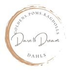 Profile Picture of Dare to Dream Dahls | Goldens + Pomeranians | Carly | ✨ (@daretodreamdahls) on Instagram