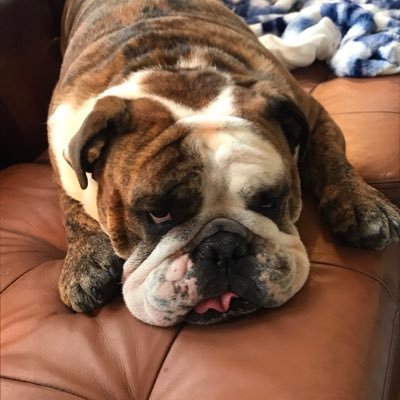 Profile Picture of John Thiel (@J_Thiel5) on Twitter